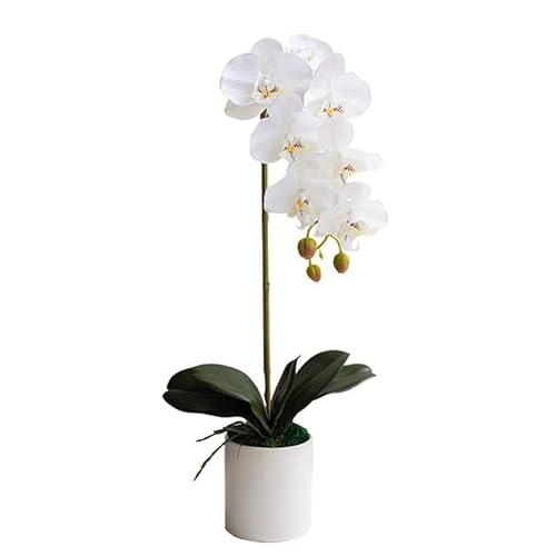 QXGJTLI Kunstblume mit Topf Orchidee Künstliche Phalaenopsis Einzelblumen mit Übertopf Künstliche Orchidee in Vase Gefälschte Blume für Wohnzimmerarrangements Orchidee (Weiß) von QXGJTLI