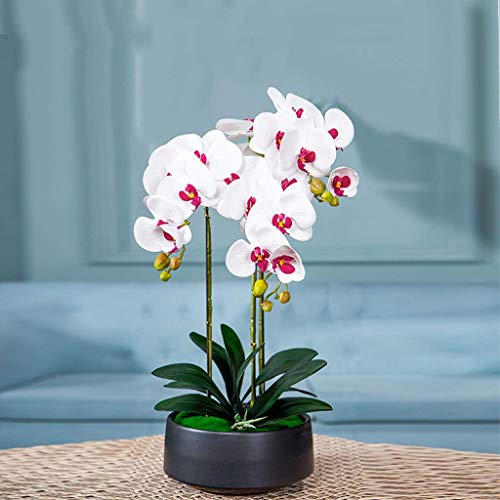 QXGJTLI Kunstblumen Set, Künstliche Orchidee mit Übertopf Phalaenopsis Kunstblume in Vase Unechte Blume mit Topf Topfpflanzen für Wohnzimmer Deko Weiß Schöne Kunstblumen (Weiß) von QXGJTLI