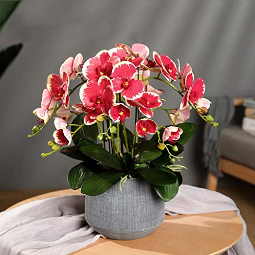 QXGJTLI Kunstblumen Set, Kunstblumen mit Übertopf Phalaenopsis Kunstblume in Vase Fake Blume mit Topf Topfpflanzen für Wohnzimmer Deko Schöne Kunstblumen und V (F) von QXGJTLI