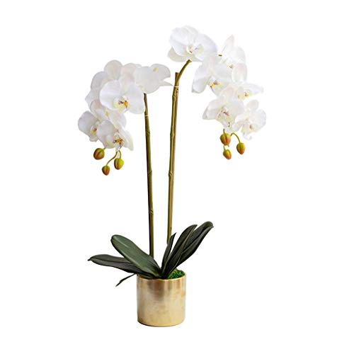 QXGJTLI Kunstblumen-Set, Phalaenopsis, Kunstblumen mit Übertopf, künstliche Orchidee in Vase, Kunstblume für Wohnzimmerarrangements, schöne Kunstblumen und Vasen (Farbe: B-3 Bra Hello von QXGJTLI