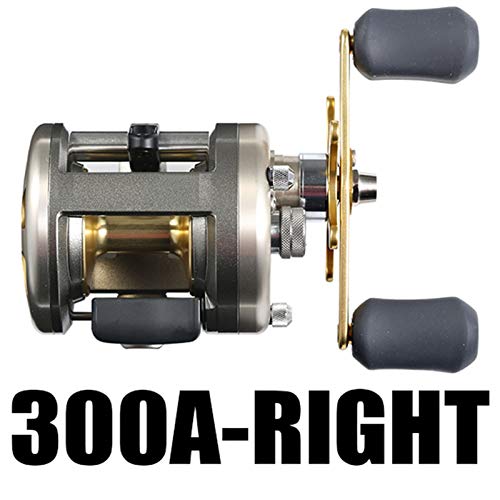 Angelrolle 200A 201A 300A 301A 400A 401A Baitcasting Angelrolle 4 + 1BB 5.8: 1 Salzwasser Trolling Drum Angelrolle Für Flüsse, Seen, Ozeane, Stauseen(300A) von QZCX