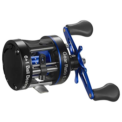 Angelrolle XS Runde Trommel Baitcasting Rolle bis 9 kg Verstärkte Metallkörper herkömmliche Salzwasser-Surfen-Angelrollen Für Flüsse, Seen, Ozeane, Stauseen(40 Double Handle_Right Hand) von QZCX