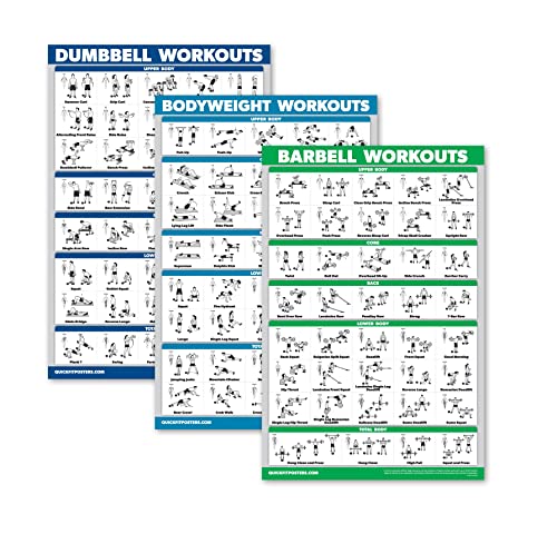 QuickFit 3er-Pack – Hantel-Workouts + Bodyweight Übungen + Langhantel-Übungen – Set mit 3 Trainingstabellen, laminiert, 18" x 27" von Raguso