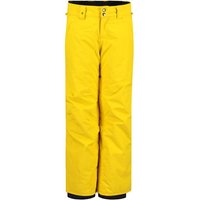 QUIKSILVER Jungen Skihose "Estate" QUIKSILVER Jungen Skihose "Estate" von Quiksilver