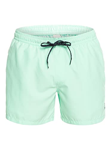 Quiksilver Everyday 15" - Schwimmshorts für Männer Grün von Quiksilver