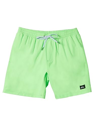 Quiksilver Everyday Solid Volley 15" - Schwimmshorts für Männer Grün von Quiksilver