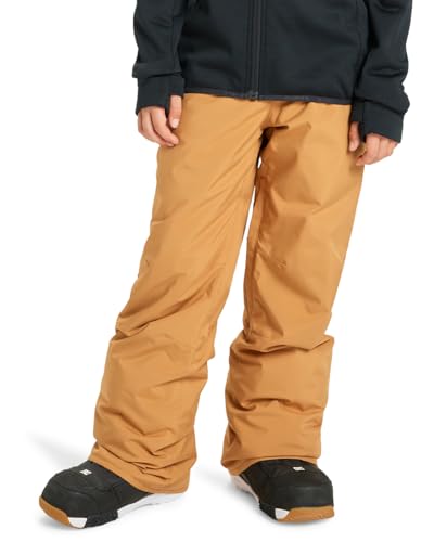 Quiksilver Snow Pants Estate Pant Kids Boy's Brown 12 von Quiksilver