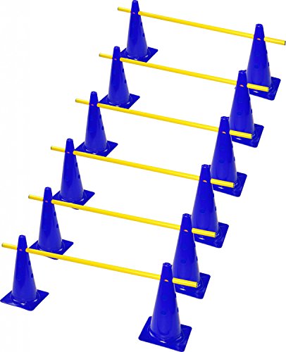 RHINOS sports Steckhürdenset 6er | 12 Blaue Kegel: 30cm | 6 gelbe Stangen: 1m RHINOS sports Steckhürdenset 6er | 12 Blaue Kegel: 30cm | 6 gelbe Stangen: 1m von RHINOS sports