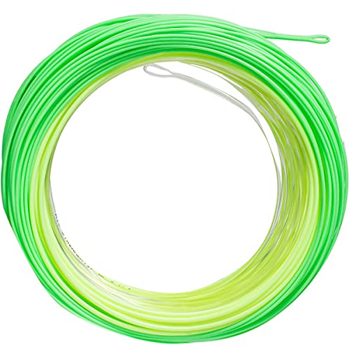 Rio Premier Streamer TIP WF5F/S6 Rio Premier Streamer TIP WF5F/S6 von RIO PRODUCTS
