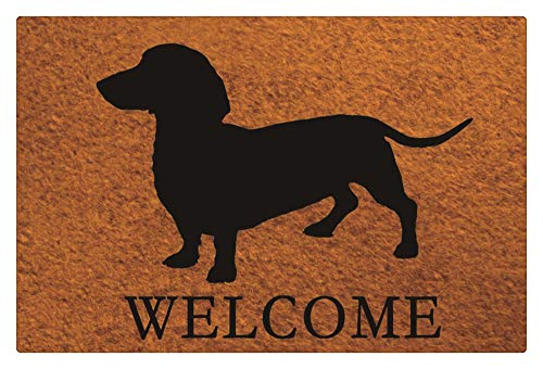 RJDJTTBD Plancholo Welcome Dog Fußmatten, Außenfußmatten, Inneneingangsteppiche, Haustürteppiche, Allwetter-Außentüren – 45,7 x 76,2 cm, Schwarz von RJDJTTBD