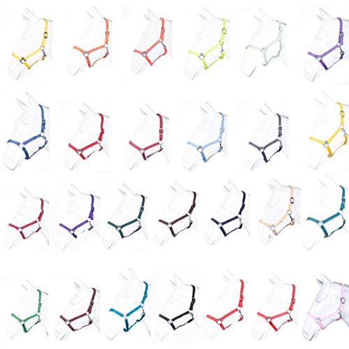 HKM by Reiterladen24 - Halfter BASICLINE petrol Shetty HKM by Reiterladen24 - Halfter BASICLINE petrol Shetty von RL24