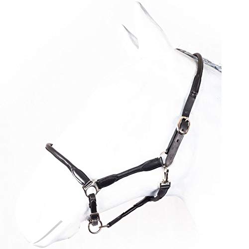 HKM by Reiterladen24 - Halfter Leder rundgenäht BASICLINE schwarz Pony HKM by Reiterladen24 - Halfter Leder rundgenäht BASICLINE schwarz Pony von RL24