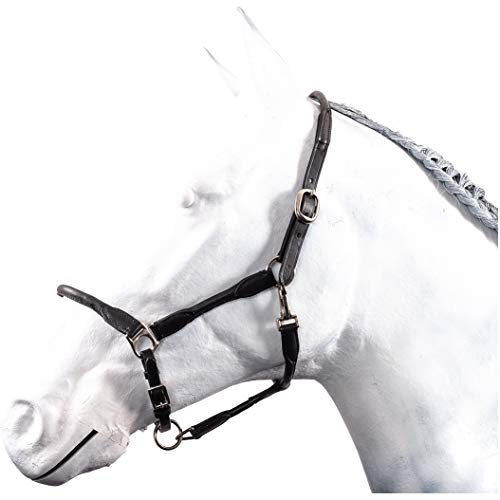 HKM by Reiterladen24 - Halfter Leder rundgenäht BASICLINE schwarz Warmblut HKM by Reiterladen24 - Halfter Leder rundgenäht BASICLINE schwarz Warmblut von RL24