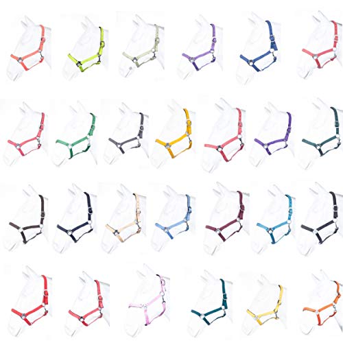 HKM by Reiterladen24 - Halfter unterlegt BASICLINE grau Pony HKM by Reiterladen24 - Halfter unterlegt BASICLINE grau Pony von RL24