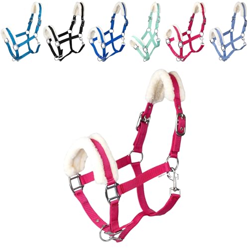 RL24 - Halfter mit Plüschpolsterung Basicline | Halfter für Pferde & Ponys | Pferdehalfter mit nietenverstärkten Verschlüssen & Karabinerhaken zum Öffnen | Pferde Zubehör in Magenta | Pony RL24 - Halfter mit Plüschpolsterung Basicline | Halfter für Pferde & Ponys | Pferdehalfter mit nietenverstärkten Verschlüssen & Karabinerhaken zum Öffnen | Pferde Zubehör in Magenta | Pony von RL24