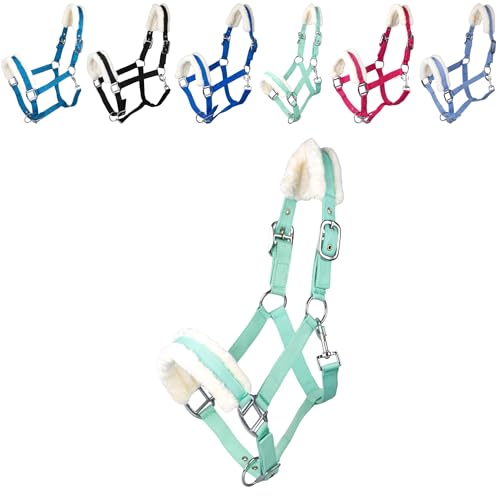 RL24 - Halfter mit Plüschpolsterung Basicline | Halfter für Pferde & Ponys | Pferdehalfter mit nietenverstärkten Verschlüssen & Karabinerhaken zum Öffnen | Pferde Zubehör in Hellgrün | Shetty RL24 - Halfter mit Plüschpolsterung Basicline | Halfter für Pferde & Ponys | Pferdehalfter mit nietenverstärkten Verschlüssen & Karabinerhaken zum Öffnen | Pferde Zubehör in Hellgrün | Shetty von RL24