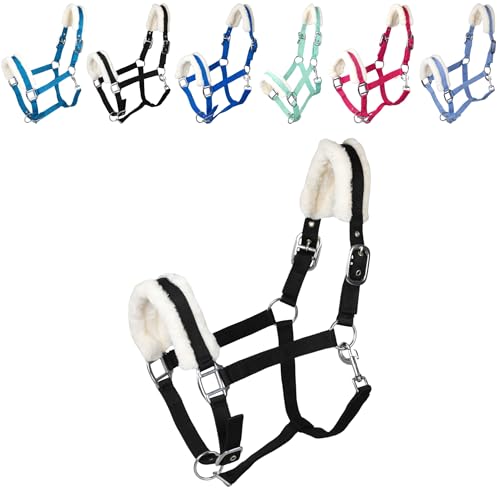 RL24 - Halfter mit Plüschpolsterung Basicline | Halfter für Pferde & Ponys | Pferdehalfter mit nietenverstärkten Verschlüssen & Karabinerhaken zum Öffnen | Pferde Zubehör in Schwarz | Pony RL24 - Halfter mit Plüschpolsterung Basicline | Halfter für Pferde & Ponys | Pferdehalfter mit nietenverstärkten Verschlüssen & Karabinerhaken zum Öffnen | Pferde Zubehör in Schwarz | Pony von RL24