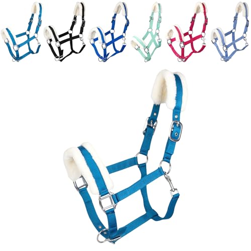 RL24 - Halfter mit Plüschpolsterung Basicline | Halfter für Pferde & Ponys | Pferdehalfter mit nietenverstärkten Verschlüssen & Karabinerhaken zum Öffnen | Pferde Zubehör in Türkis | Pony RL24 - Halfter mit Plüschpolsterung Basicline | Halfter für Pferde & Ponys | Pferdehalfter mit nietenverstärkten Verschlüssen & Karabinerhaken zum Öffnen | Pferde Zubehör in Türkis | Pony von RL24