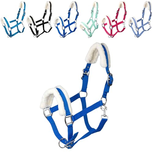 RL24 - Halfter mit Plüschpolsterung Basicline | Halfter für Pferde & Ponys | Pferdehalfter mit nietenverstärkten Verschlüssen & Karabinerhaken zum Öffnen | Pferde Zubehör in Royalblau | Shetty RL24 - Halfter mit Plüschpolsterung Basicline | Halfter für Pferde & Ponys | Pferdehalfter mit nietenverstärkten Verschlüssen & Karabinerhaken zum Öffnen | Pferde Zubehör in Royalblau | Shetty von RL24