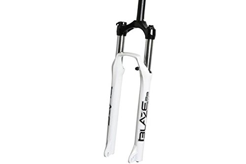 RST – horq. 29rst Blaze 100 Disc L.O weiße RST – horq. 29rst Blaze 100 Disc L.O weiße von RST