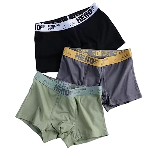 RUDDOG 3Pack/Boxer Herren Unterwäsche Boxershorts Mann Baumwolle Atmungsabstimmung Männer Boxer Bequemes Elastisches Männliches Pantie-Beige,XL 50-60Kg von RUDDOG