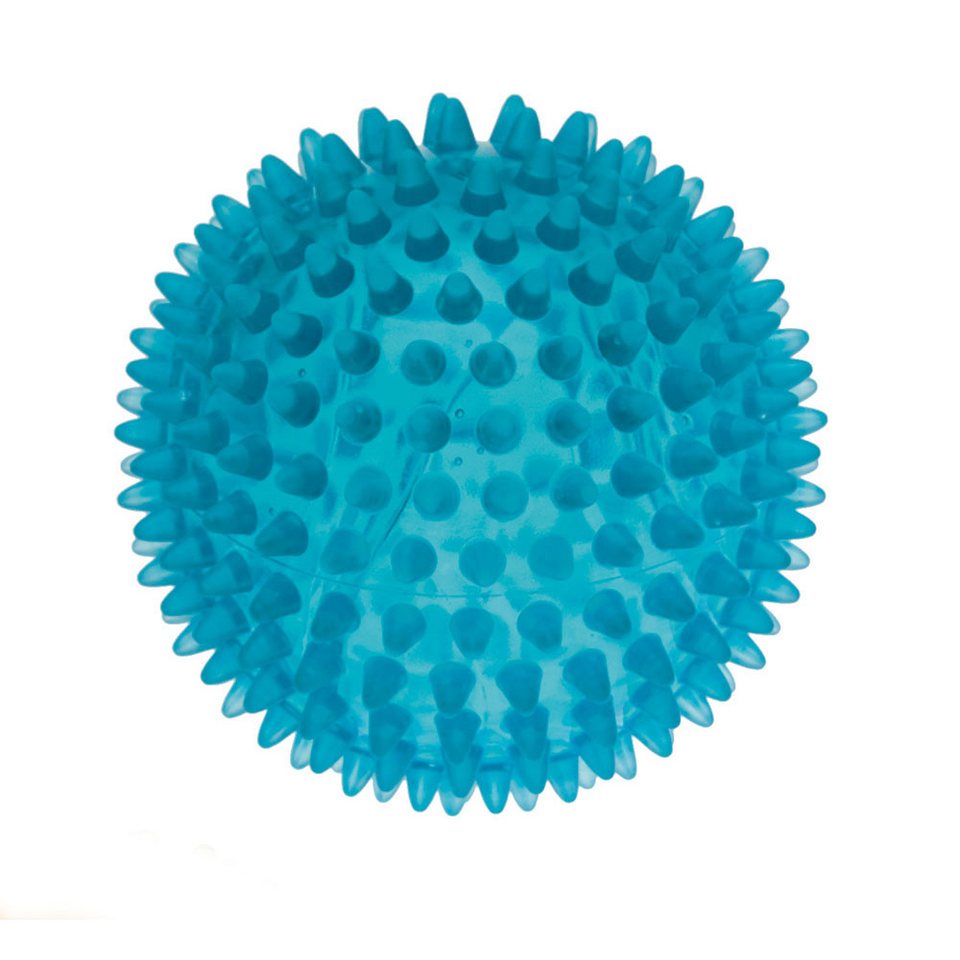 RUSSKA Physioball Igelball, blau, 10 cm Ø RUSSKA Physioball Igelball, blau, 10 cm Ø von RUSSKA