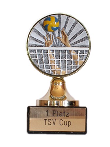 RaRu Volleyball-Pokal mit Gravur und Resin-Emblem RaRu Volleyball-Pokal mit Gravur und Resin-Emblem von RaRu