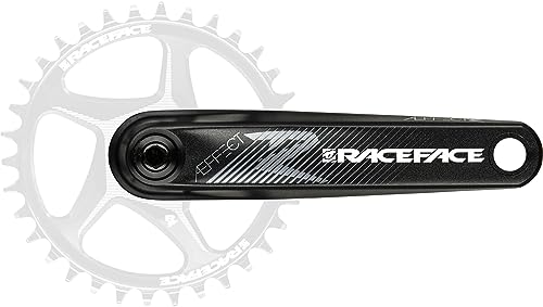 AEFFECT-R E-BIKE Kurbeln - 165 - schwarz (ohne Koffer) von RaceFace