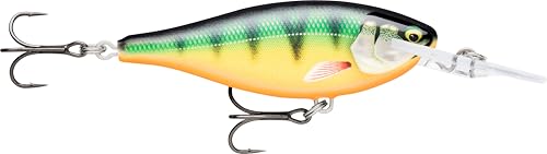 Rapala - Shad Rap Elite Balsa Construction Shad Rap (Blei) - schwimmender Süßwasserköder - Schwimmtiefe 2,7 m - Größe 5,5 cm / 7g - Made in Estland - vergoldete Barsch Rapala - Shad Rap Elite Balsa Construction Shad Rap (Blei) - schwimmender Süßwasserköder - Schwimmtiefe 2,7 m - Größe 5,5 cm / 7g - Made in Estland - vergoldete Barsch von Rapala