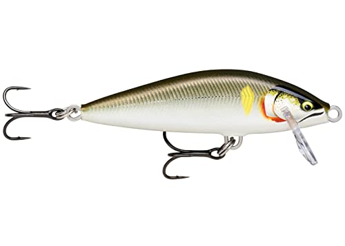 Rapala - Angelköder Countdown Elite - Angelzubehör aus Balsaholz - Süßwasser-Spinnköder - Sinkend - Lauftiefe: 1,2m - Größe: 7,5cm / 10g - Hergestellt in Estland - Gilded Ayu von Rapala