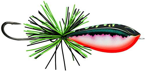 Rapala - Angelköder BX Skitter Frog - Angelzubehör Balsa-Kern und Copolymer-Außenschale - Schwimmend - Lauftiefe: Oberfläche - Größe: 5,5cm / 13g - Hergestellt in Estland - Toman von Rapala