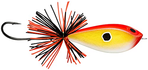 Rapala - Angelköder BX Skitter Frog - Angelzubehör Balsa-Kern und Copolymer-Außenschale - Schwimmend - Lauftiefe: Oberfläche - Größe: 5,5cm / 13g - Hergestellt in Estland - Gold Fluorescent Red Rapala - Angelköder BX Skitter Frog - Angelzubehör Balsa-Kern und Copolymer-Außenschale - Schwimmend - Lauftiefe: Oberfläche - Größe: 5,5cm / 13g - Hergestellt in Estland - Gold Fluorescent Red von Rapala