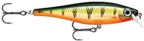Rapala Unisex-Adult BX Minnow Locken, Legendärer Barsch, 7cm Rapala Unisex-Adult BX Minnow Locken, Legendärer Barsch, 7cm von Rapala