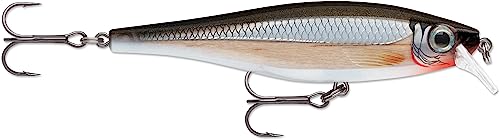 Rapala - BX Minnow Angelköder - Angelzubehör aus Balsaholz - Süßwasser Spinnköder - Friedfische und Raubfische - Lauftiefe 0.6-1.2m - Fischköder 7cm, 7g - Hergestellt in Estland - Silver von Rapala