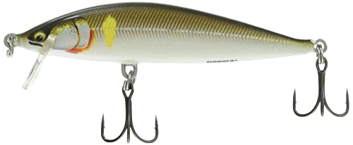 Rapala - Countdown Fishing Lure Elite Construction Balsa - Köder Süßwasserfluss - Stieftiefe 1,2 m - Größe 9,5 cm / 14g - Made in Estland - vergoldete Ayu von Rapala