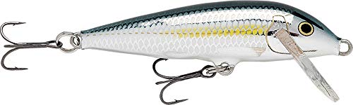 Rapala - CountDown Angelköder - Angelzubehör aus Balsaholz - Süßwasser Spinnköder - Lauftiefe 0.9-1.8m - Fischköder 5cm, 5g - Hergestellt in Estland - Bleak Rapala - CountDown Angelköder - Angelzubehör aus Balsaholz - Süßwasser Spinnköder - Lauftiefe 0.9-1.8m - Fischköder 5cm, 5g - Hergestellt in Estland - Bleak von Rapala