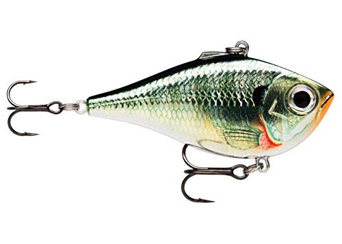 Rapala - Rippin' Rap Angelköder - Slender Body & Lipless Crank Angelzubehör - Süßwasser Spinnköder - Variable Lauftiefe - Fischköder 7cm, 24g - Hergestellt in Estland - Chrome Rapala - Rippin' Rap Angelköder - Slender Body & Lipless Crank Angelzubehör - Süßwasser Spinnköder - Variable Lauftiefe - Fischköder 7cm, 24g - Hergestellt in Estland - Chrome von Rapala