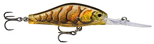 Rapala - Shadow Rap Jack Deep Angelköder - Angelzubehör - Süßwasser Spinnköder für Fried- und Raubfische - Hergestellt in Estland - Lauftiefe 3m - Fischköder 5cm, 5.7g - Ghost Prawn Rapala - Shadow Rap Jack Deep Angelköder - Angelzubehör - Süßwasser Spinnköder für Fried- und Raubfische - Hergestellt in Estland - Lauftiefe 3m - Fischköder 5cm, 5.7g - Ghost Prawn von Rapala