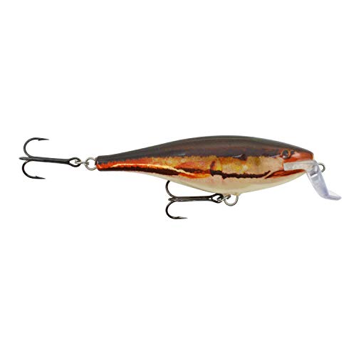 Rapala Super Shad Rap Wobbler 14cm Baby Giant Snakehead (BGS von Rapala