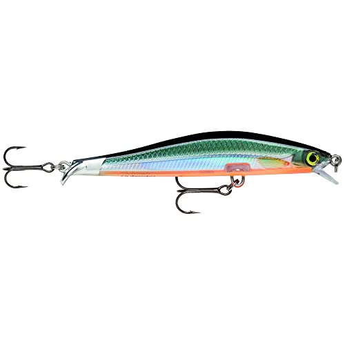 Rapala Unisex-Adult Ripstop Angelköder-Angelzubehör mit Zweiteiliger Tauchschaufel-Süßwasser Spinnköder-Lauftiefe 1,3-1,6m-Fischköder 12cm, 14g-Hergestellt in Estland-Halloween Rapala Unisex-Adult Ripstop Angelköder-Angelzubehör mit Zweiteiliger Tauchschaufel-Süßwasser Spinnköder-Lauftiefe 1,3-1,6m-Fischköder 12cm, 14g-Hergestellt in Estland-Halloween von Rapala