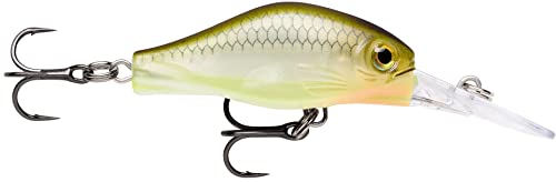 Rapala - Shadow Rap Fat Jack Angelköder - Angelzubehör für Forelle, Barsch und Döbel - Süßwasser Spinnköder - Lauftiefe 3m - Fischköder 4cm, 4g - Hergestellt in Estland - Ghost Sandeel von Rapala