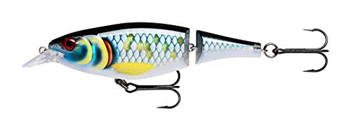 Rapala Unisex-Adult X-Rap Jointed Shad Angelköder-Angelzubehör-Zweigeteilter Kunstköder-Süßwasser Spinnköder-Lauftiefe 1.2-2.4m-Fischköder 13cm, 46g-Hergestellt in Estland-Scaled Baitfish, Standard Rapala Unisex-Adult X-Rap Jointed Shad Angelköder-Angelzubehör-Zweigeteilter Kunstköder-Süßwasser Spinnköder-Lauftiefe 1.2-2.4m-Fischköder 13cm, 46g-Hergestellt in Estland-Scaled Baitfish, Standard von Rapala
