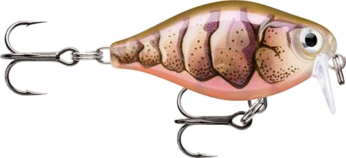Rapala - X - Light Kurbel Flacher Läufer Fischereiköder Kunststoffkonstruktion - schwimmender Süßwasserköder - Schwimmtiefe 0,9 m - Größe 3,5 cm / 4g - Hergestellt in Estland - lila Garnelen UV Rapala - X - Light Kurbel Flacher Läufer Fischereiköder Kunststoffkonstruktion - schwimmender Süßwasserköder - Schwimmtiefe 0,9 m - Größe 3,5 cm / 4g - Hergestellt in Estland - lila Garnelen UV von Rapala