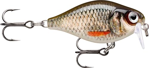 Rapala - X - Light Kurbel Flacher Läufer Fischereiköder Kunststoffkonstruktion - schwimmender Süßwasserköder - Schwimmtiefe 0,9 m - Größe 3,5 cm / 4g - Made in Estland - Live Roach Rapala - X - Light Kurbel Flacher Läufer Fischereiköder Kunststoffkonstruktion - schwimmender Süßwasserköder - Schwimmtiefe 0,9 m - Größe 3,5 cm / 4g - Made in Estland - Live Roach von Rapala