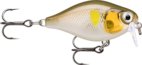 Rapala - X - Light Kurbel Flacher Läufer Plastikkurbel Fließköder, Ayu Rapala - X - Light Kurbel Flacher Läufer Plastikkurbel Fließköder, Ayu von Rapala
