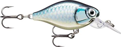 Rapala - X - Light Kurbel Mid Runner Plastikkurbelfischerei - Lockwasserflut - Start Deads 1,8 m - Größe 3,5 cm / 4g - Hergestellt in Estland - Baby Aspius von Rapala