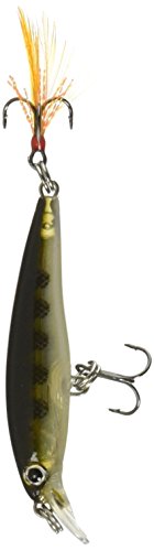 Rapala - X-Rap Angelköder - Angelzubehör mit 3D-Profil - Süßwasser Spinnköder - Schwanzfedern für zusätzliche Reize - Lauftiefe 0.6-0.9m - Fischköder 4cm, 2g - Hergestellt in Estland - Muddler von Rapala