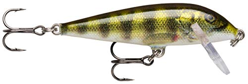 Rapala - X-Rap Countdown Angelköder - Angelzubehör aus Balsaholz - Süßwasser Spinnköder - Lauftiefe 0.6-1.2m - Fischköder 5cm, 4g - Hergestellt in Estland - Live Perch von Rapala