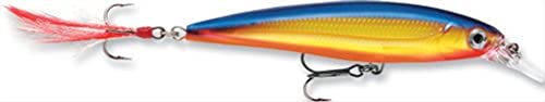 Rapala Unisex-Adult X-Rap Locken, Holographisches Silber, 8cm Rapala Unisex-Adult X-Rap Locken, Holographisches Silber, 8cm von Rapala