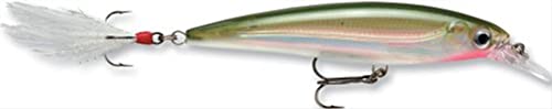 Rapala Unisex-Adult X-Rap Angelköder-Angelzubehör mit 3D-Profil-Süßwasser Spinnköder Locken, Olive Green, 8 cm / 7g Rapala Unisex-Adult X-Rap Angelköder-Angelzubehör mit 3D-Profil-Süßwasser Spinnköder Locken, Olive Green, 8 cm / 7g von Rapala